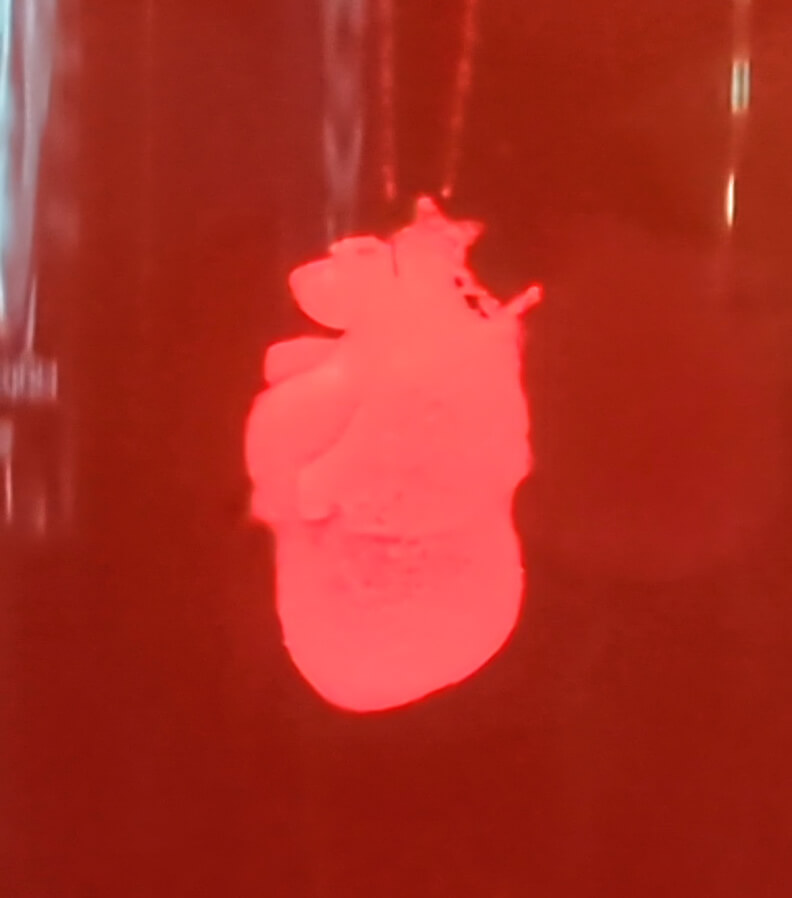 PASONA NATUREVERSE「iPS心臓」